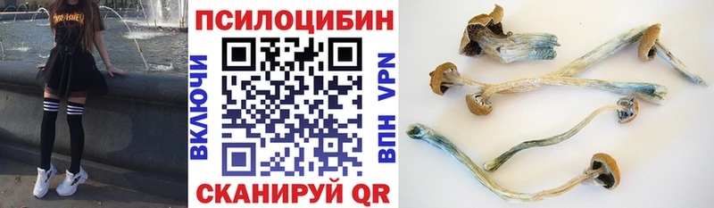 Псилоцибиновые грибы MAGIC MUSHROOMS  где продают наркотики  Рудня 